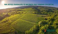 Mini Mini Vina PS